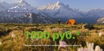 Акция: 1000 руб. в подарок! Акция: 1000 руб. в подарок!